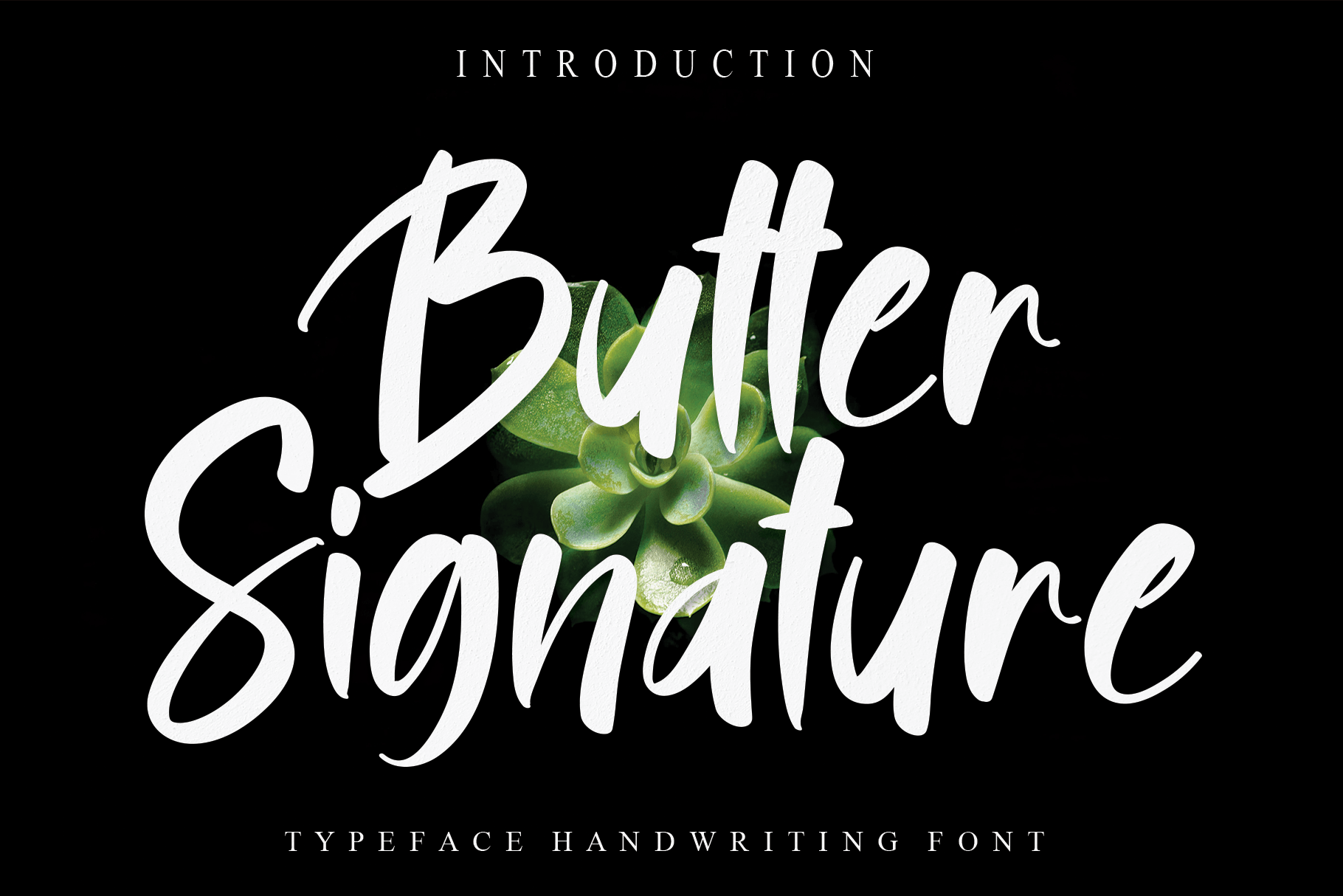 Butter Signature Script Font