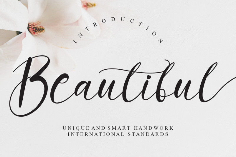 Beautiful Calligraphy Font