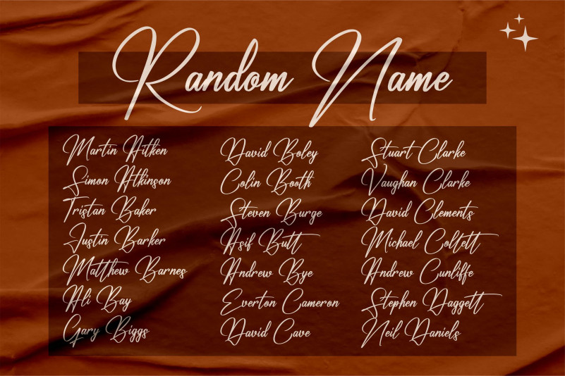 Renatta Signature Font preview image 2