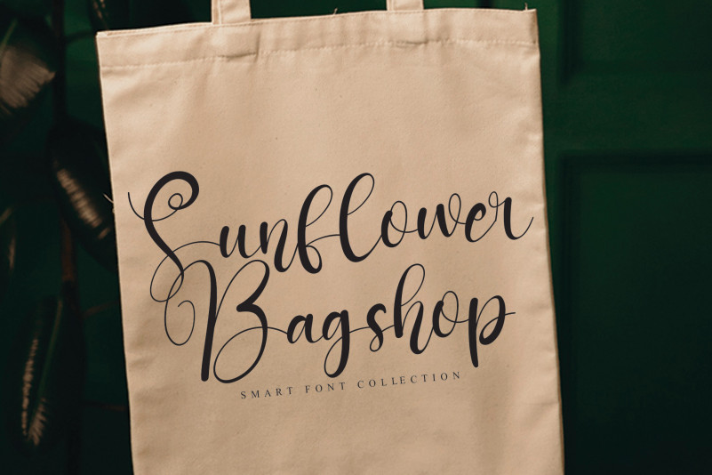 Handsome Font preview image 2