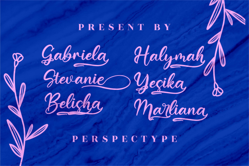 Barfield Lady Font preview image 2