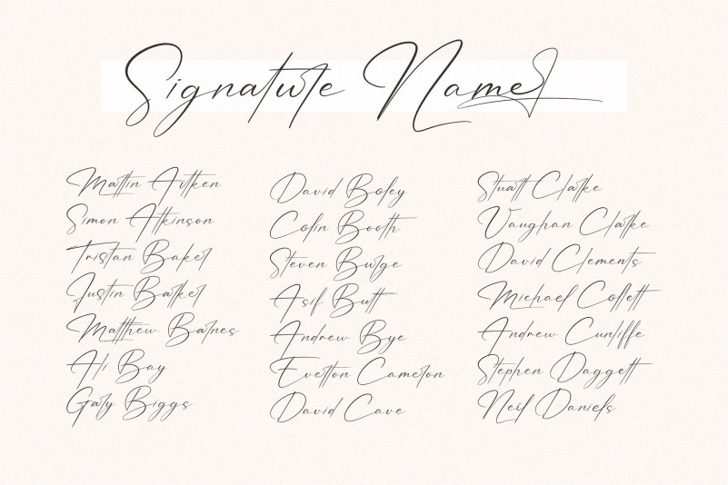 Patricia Signature Font preview image 2