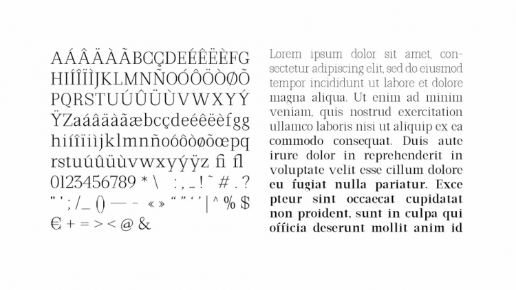 Andromeda Font Family preview image 3