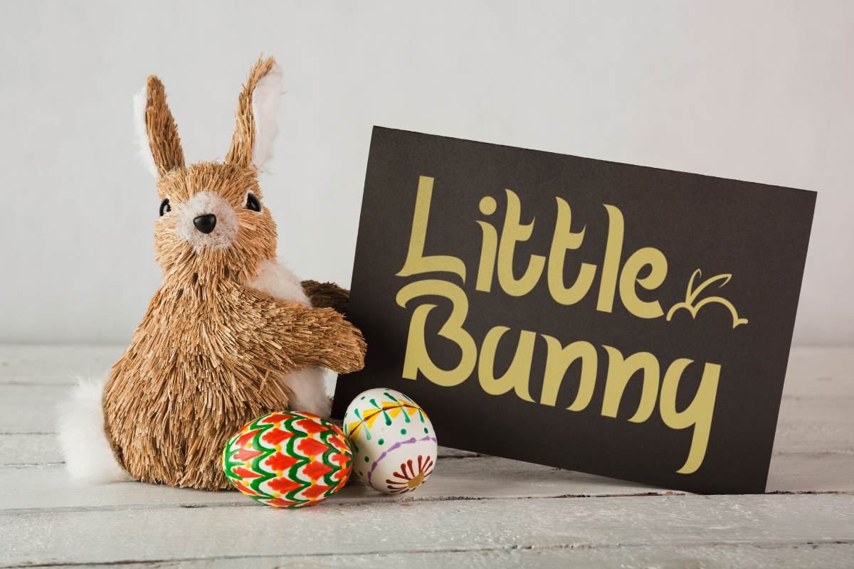 Lovely Rabbit Font preview image 4