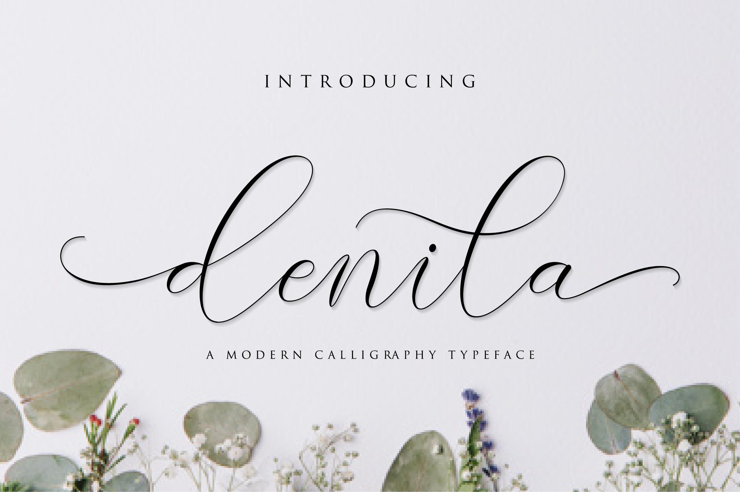 Denila Calligraphy Font