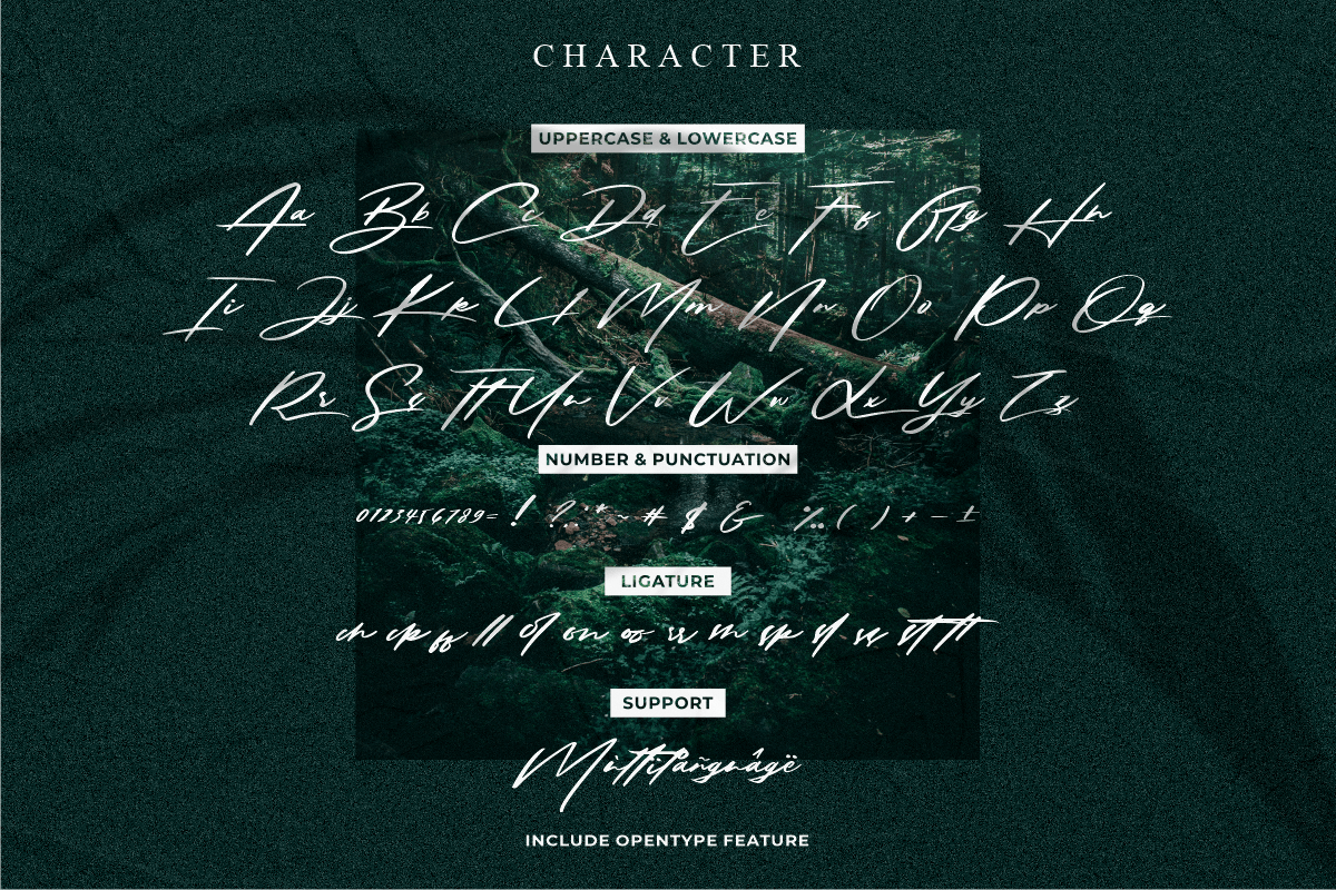 Solustion Font preview image 4