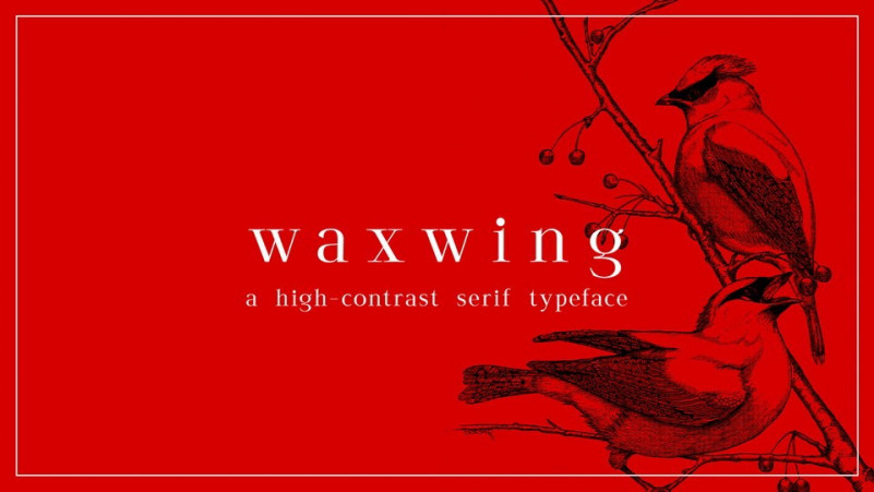 Waxwing Serif Font