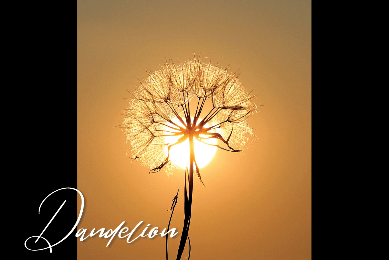 The Summer Font preview image 2