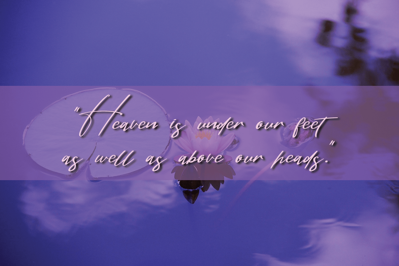The Summer Font preview image 3