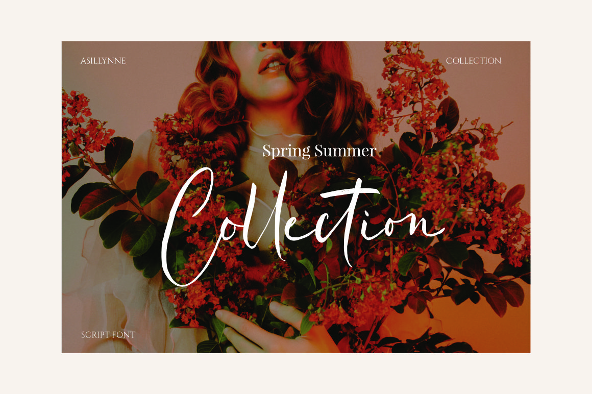 Asillynne Font preview image 5