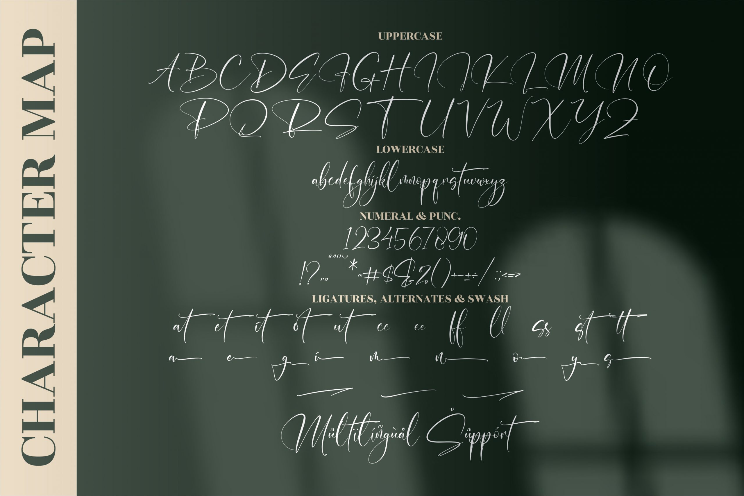Malistera Font preview image 4