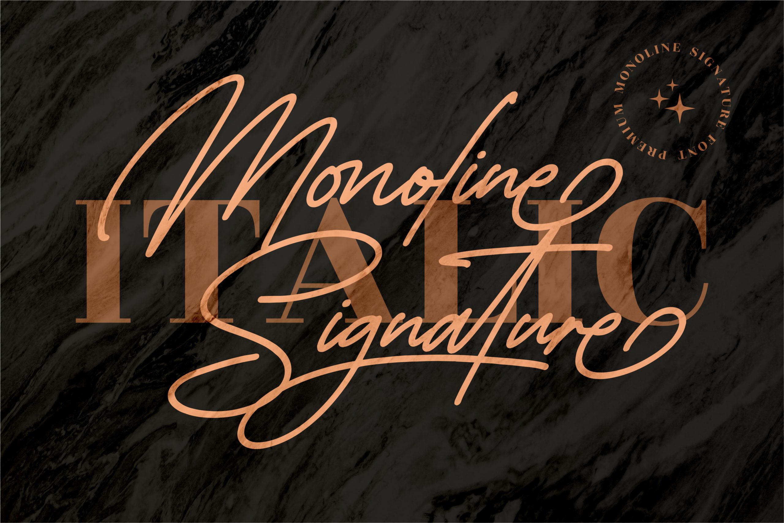 Monoline Signature Font preview image 2