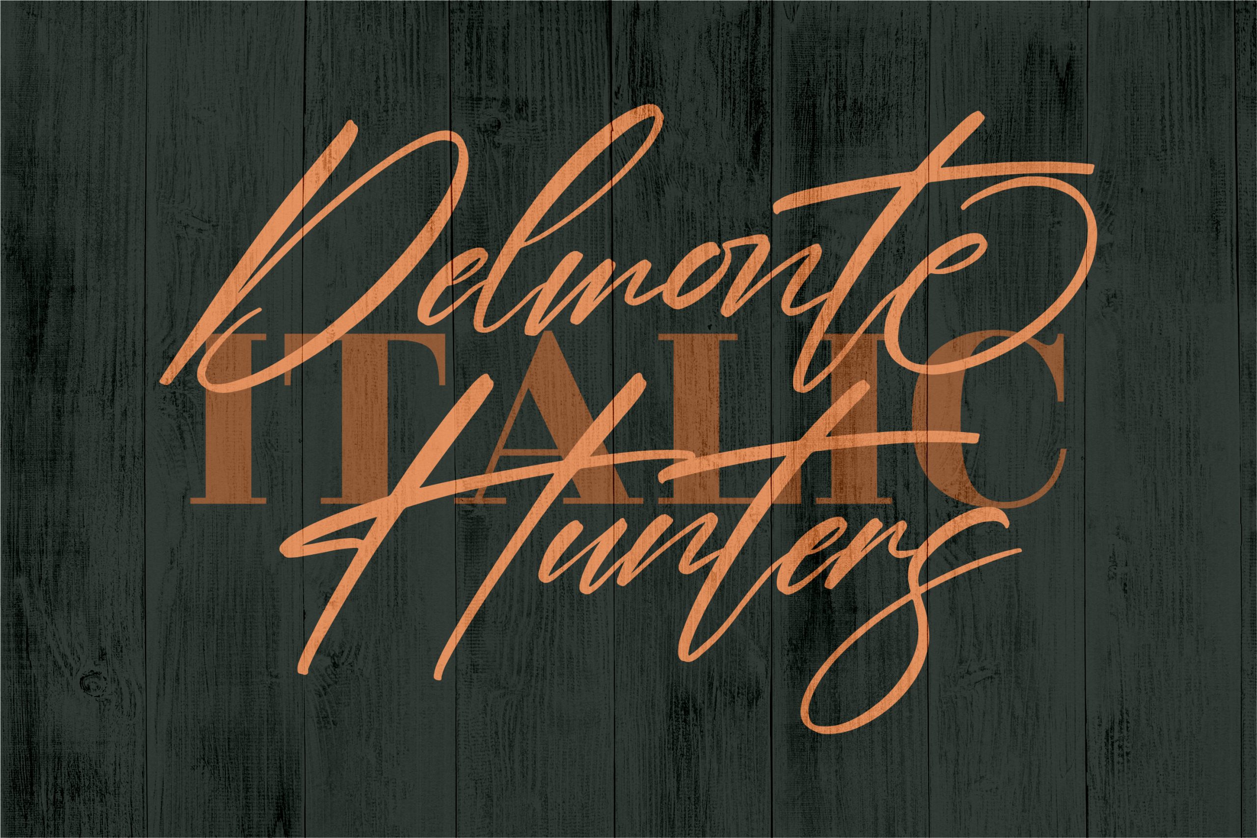 Delmonte Hunters Font preview image 2