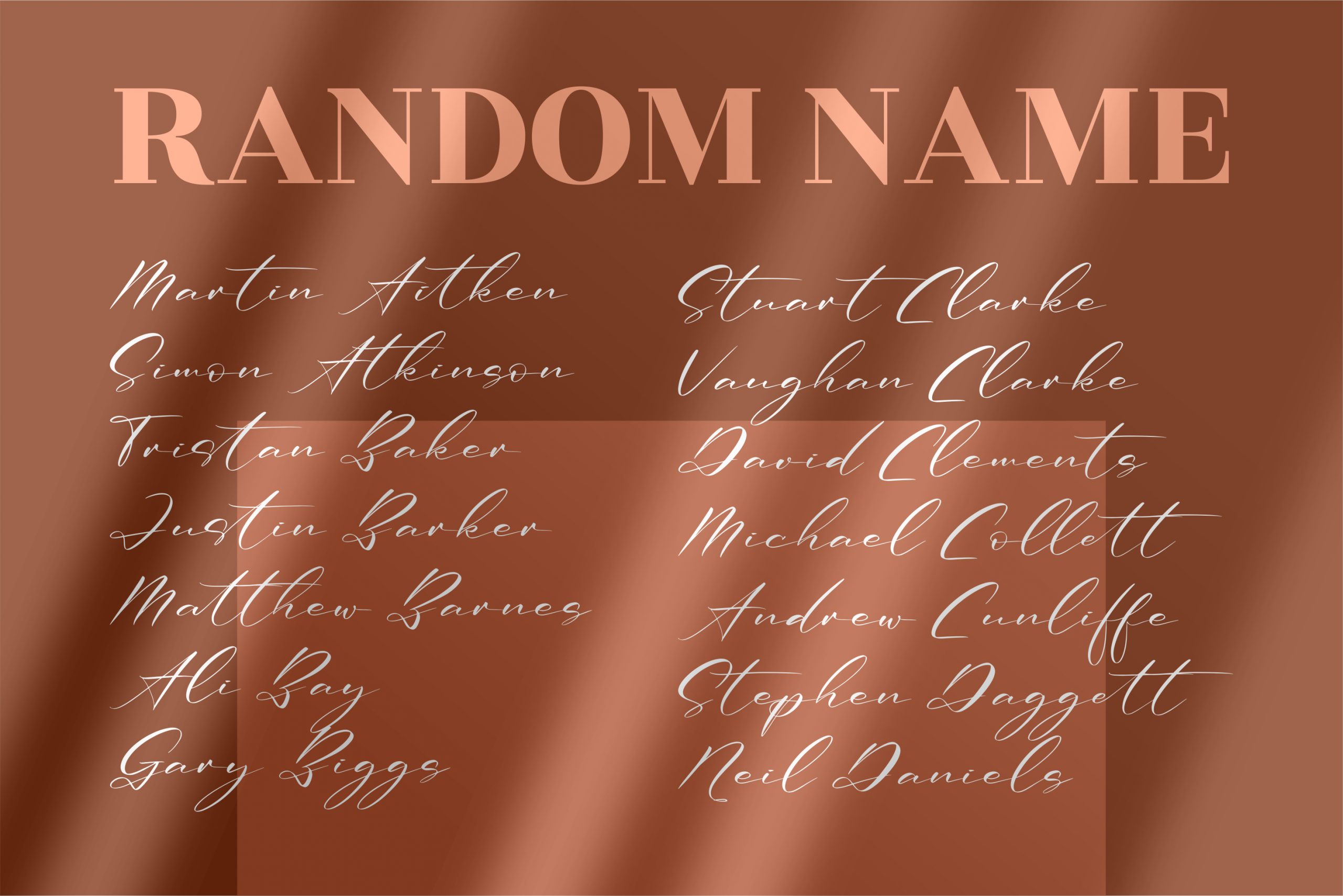 Renathalia Signature Font preview image 4