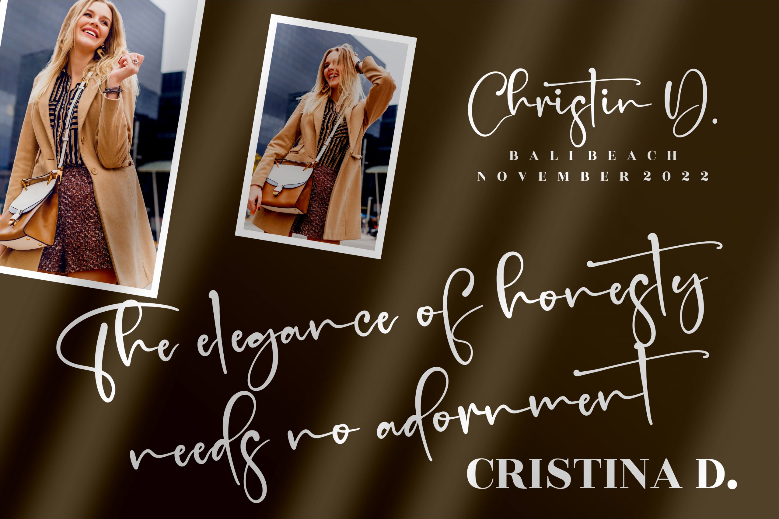 Handscript Signature Font preview image 5