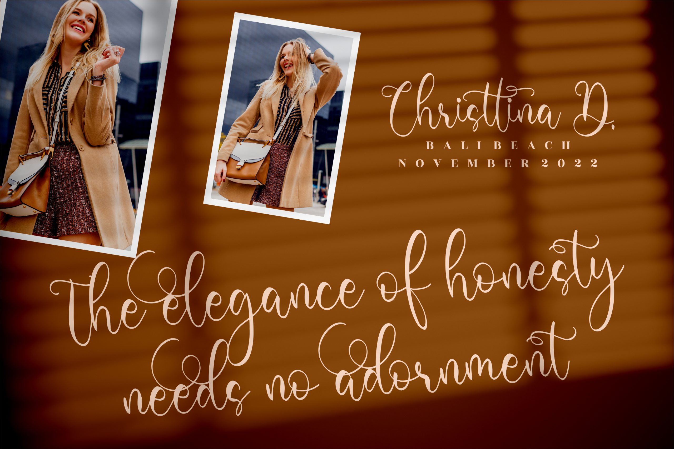 Barbara Derina Font preview image 5