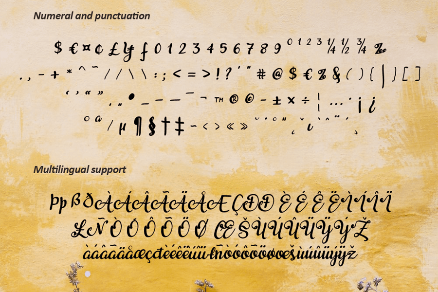 Aikaterine Font preview image 5