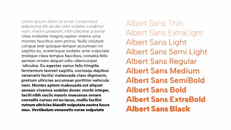 Albert Sans Font Family preview image 3