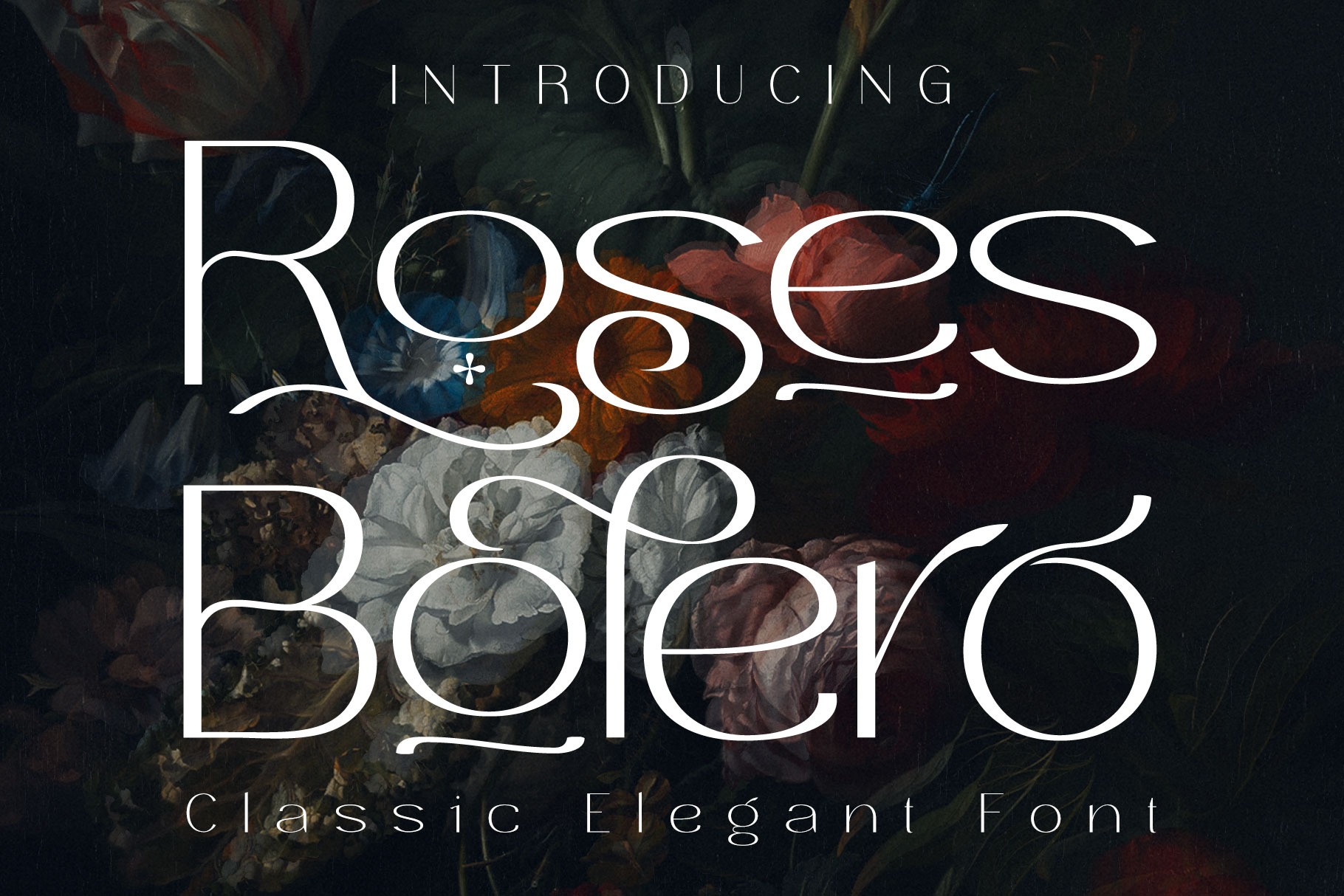 Roses Bolero Elegant Sans Serif Font