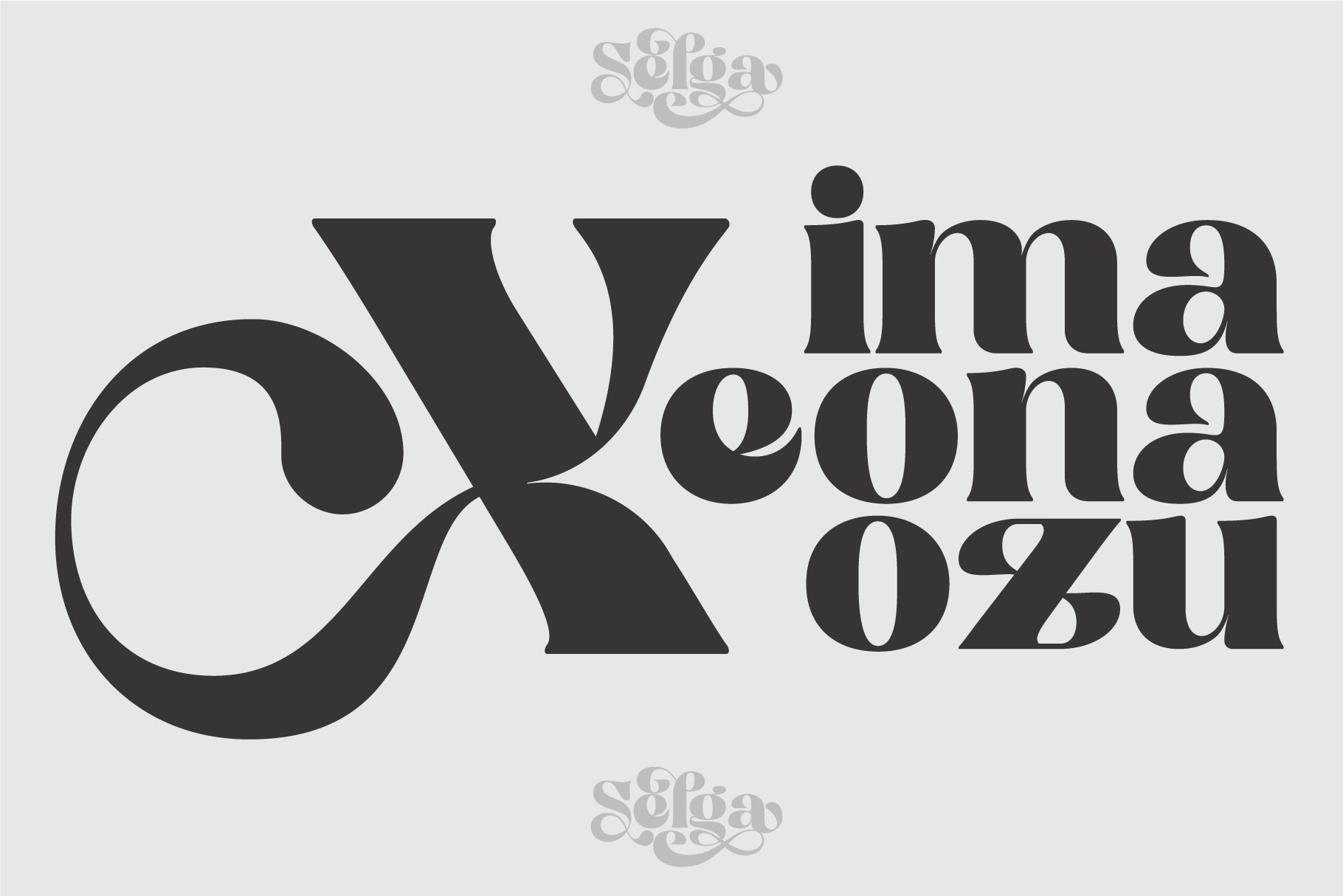 Selga Font preview image 2