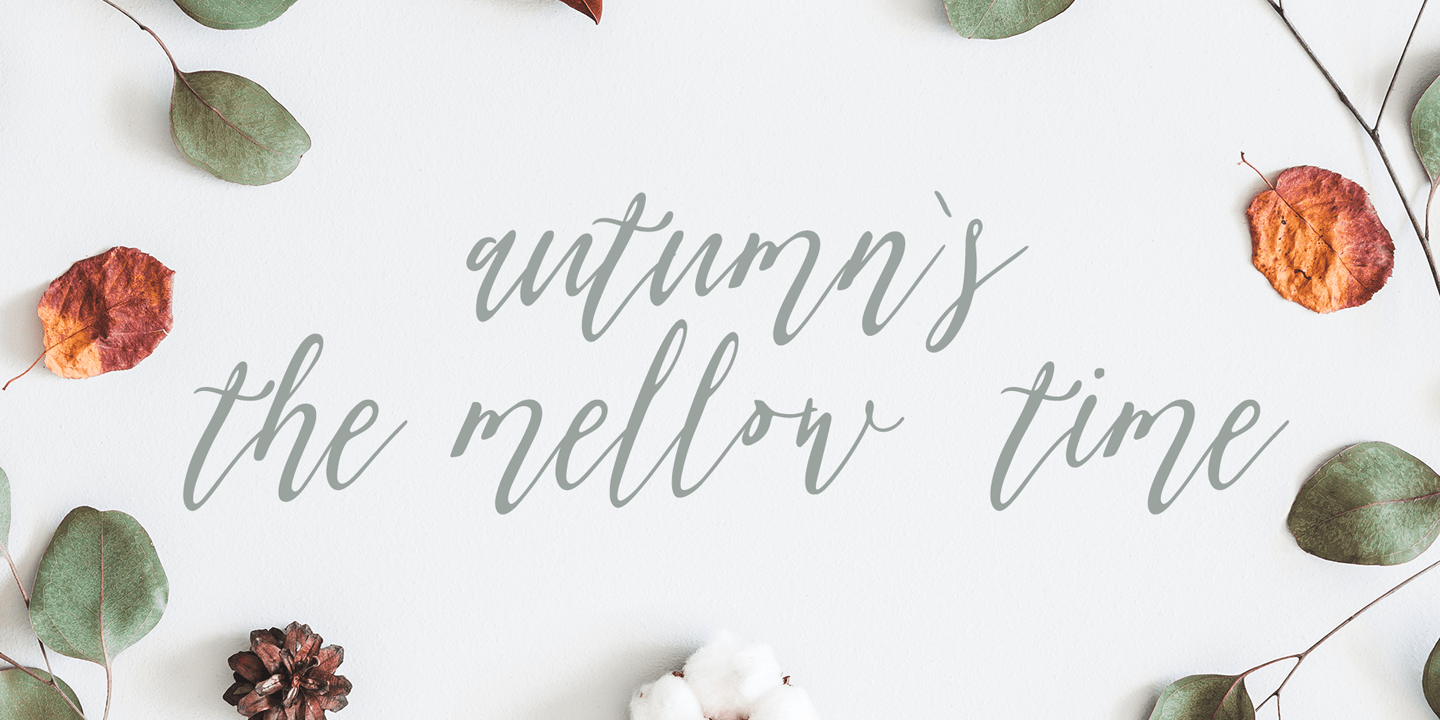 Olis Font preview image 2