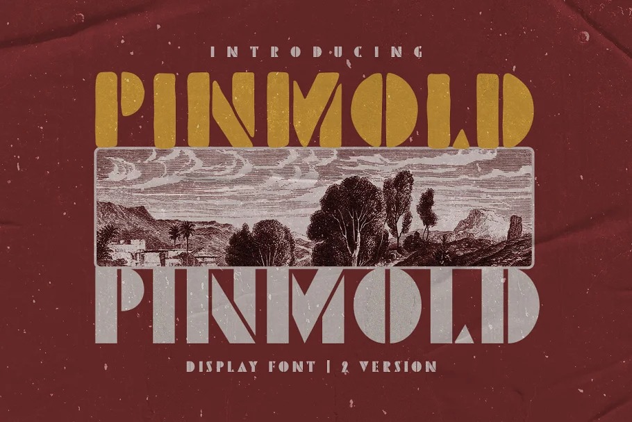 Pinmold  Display Font