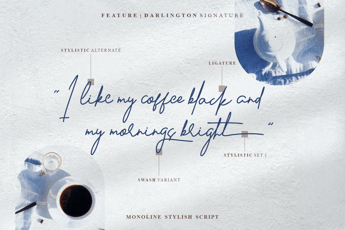 Darlington Signature Font preview image 2