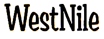 What font is this. Please thank you