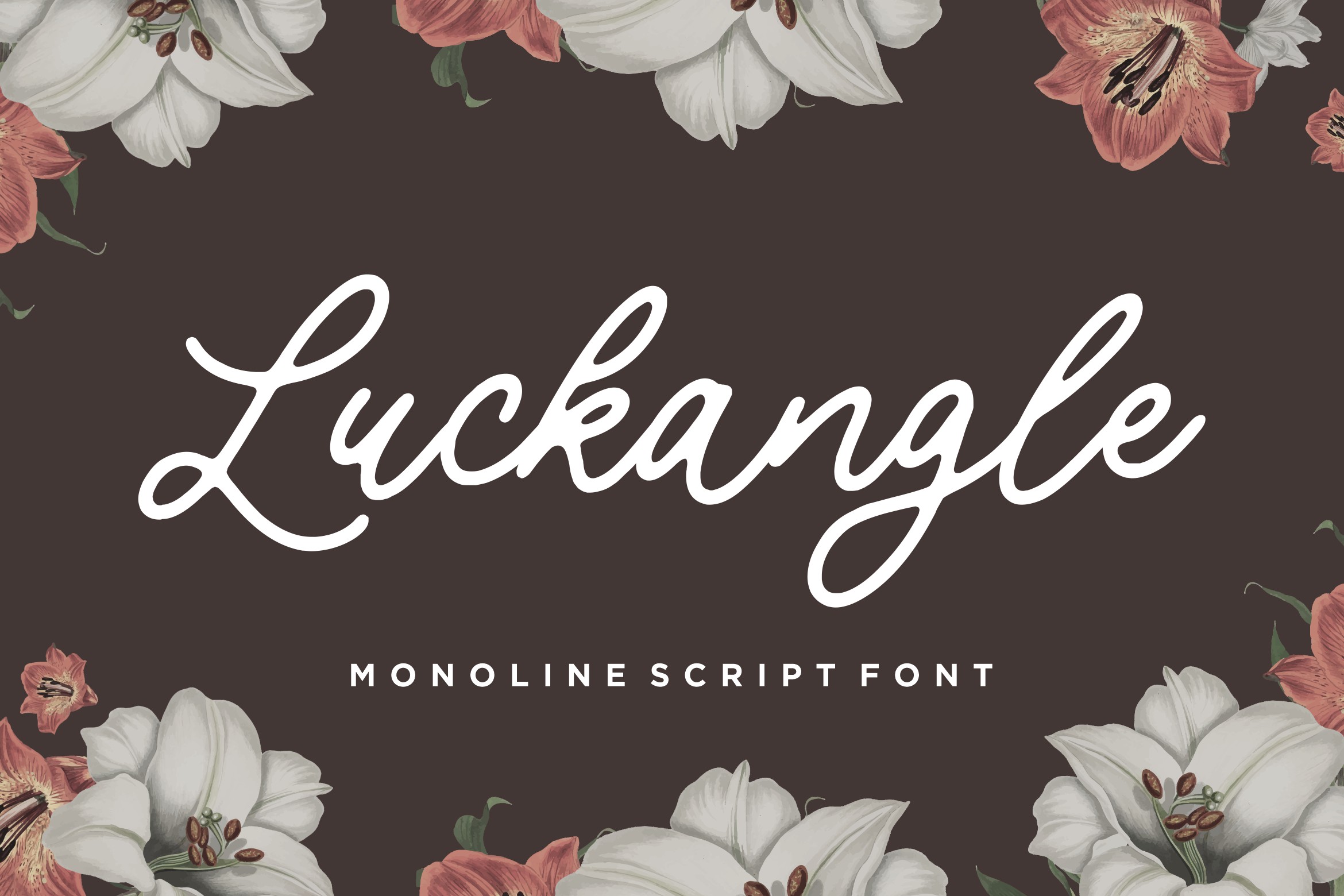 Luckangle Script Font