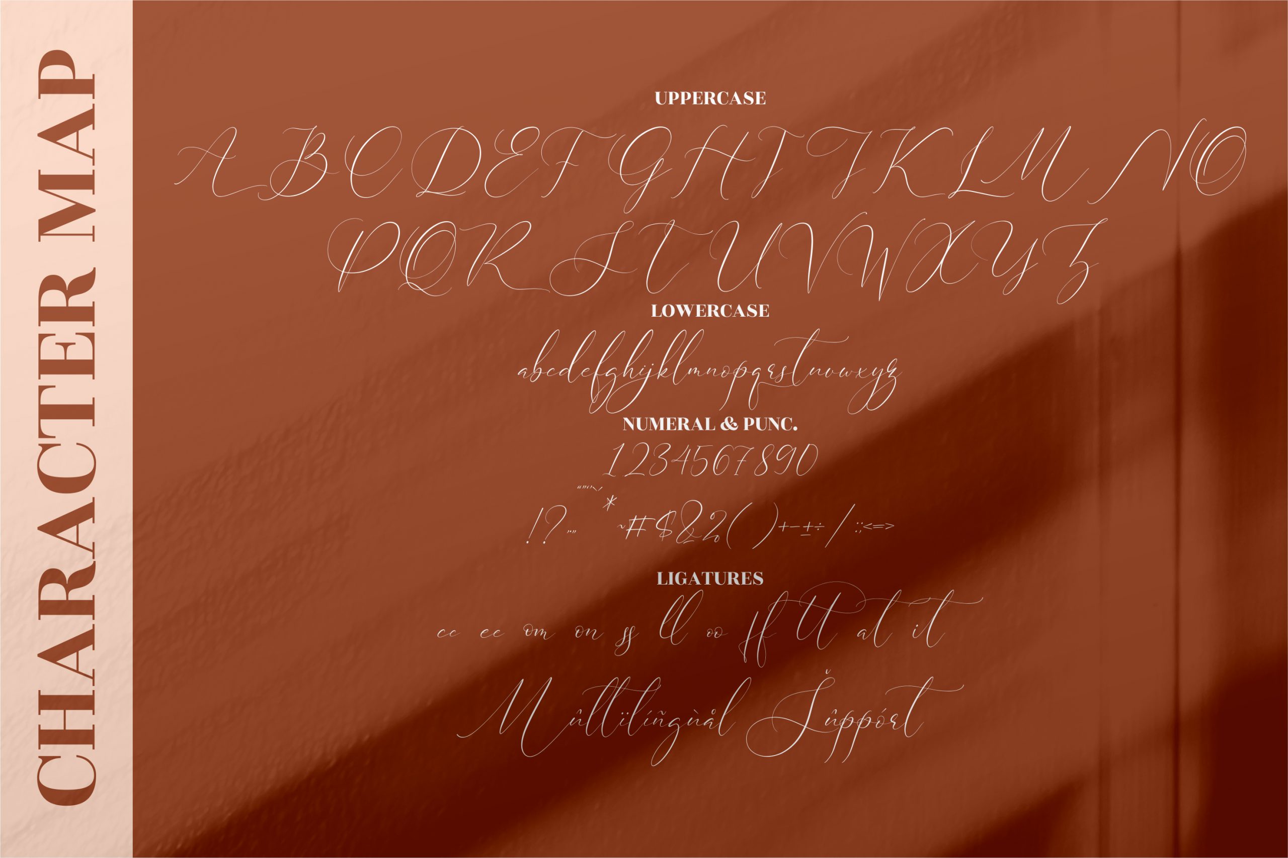 Cristtina Delmonte Font preview image 3