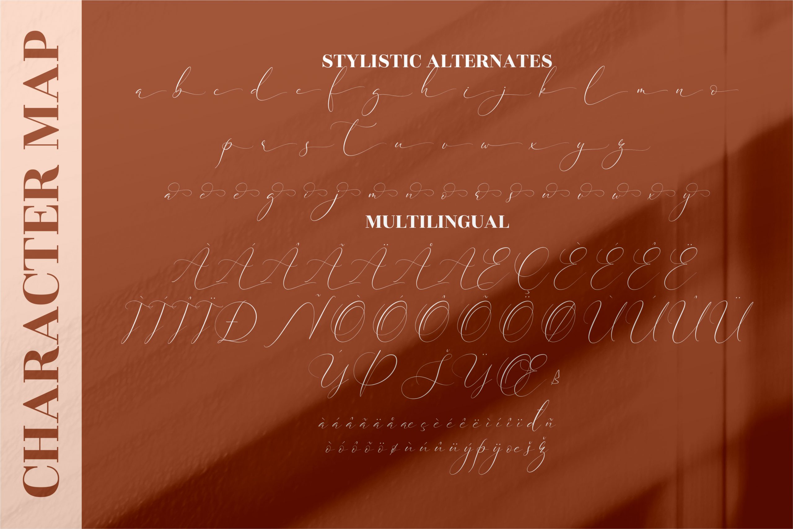 Cristtina Delmonte Font preview image 4