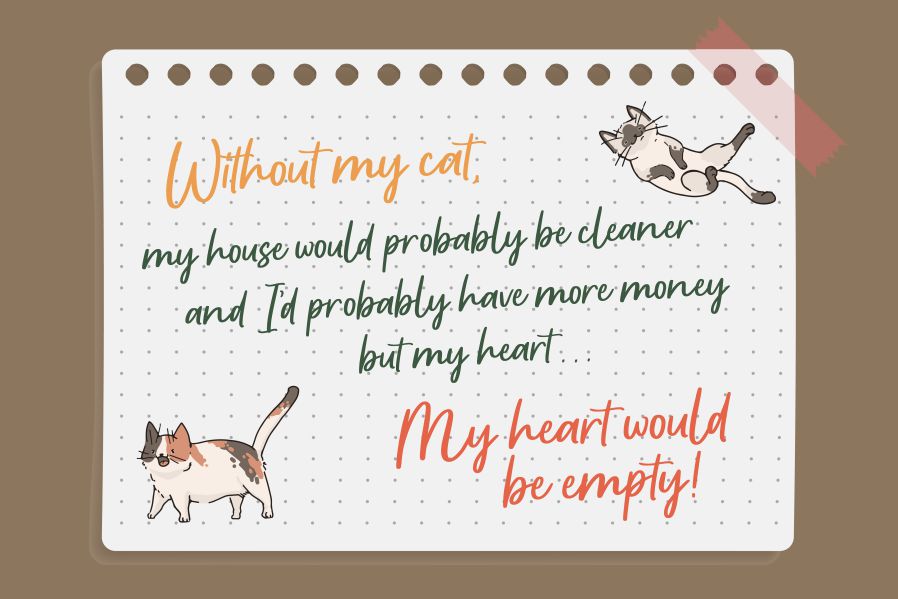 Apricotsy Font preview image 5