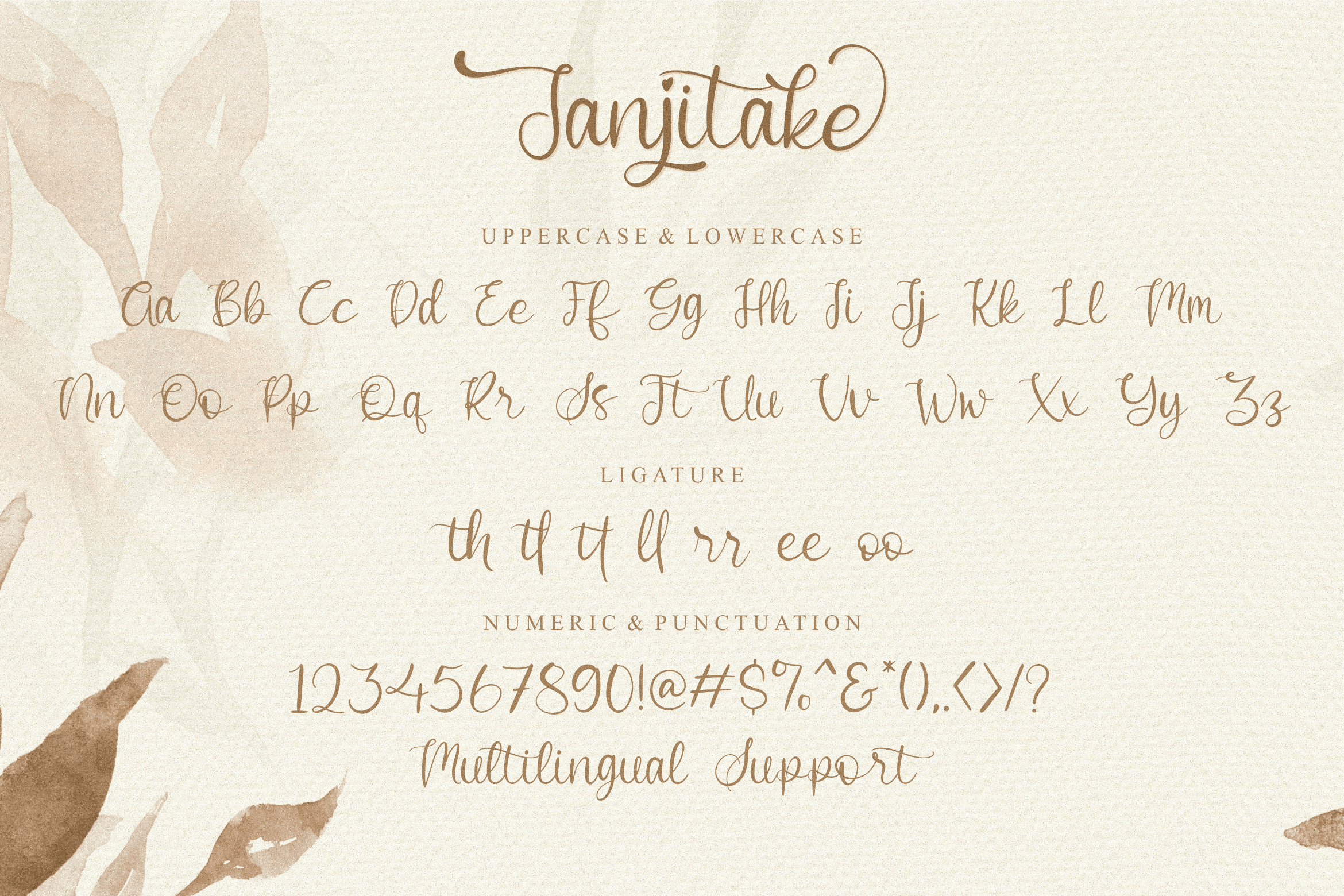 Janjitake Font preview image 5