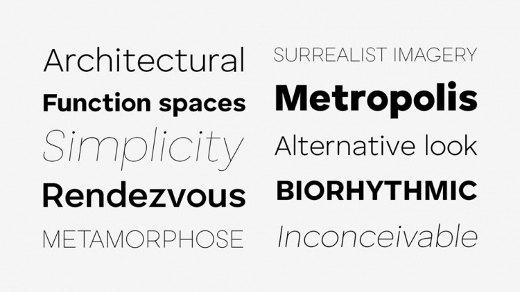 Human Sans Font Family preview image 3