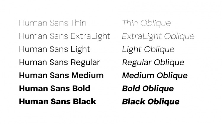 Human Sans Font Family preview image 2