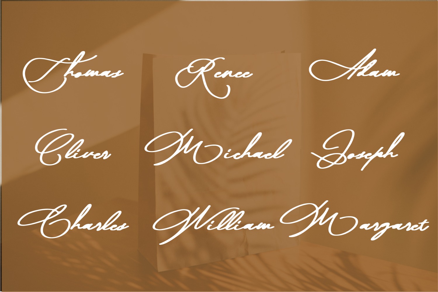 Moana Script Font preview image 4