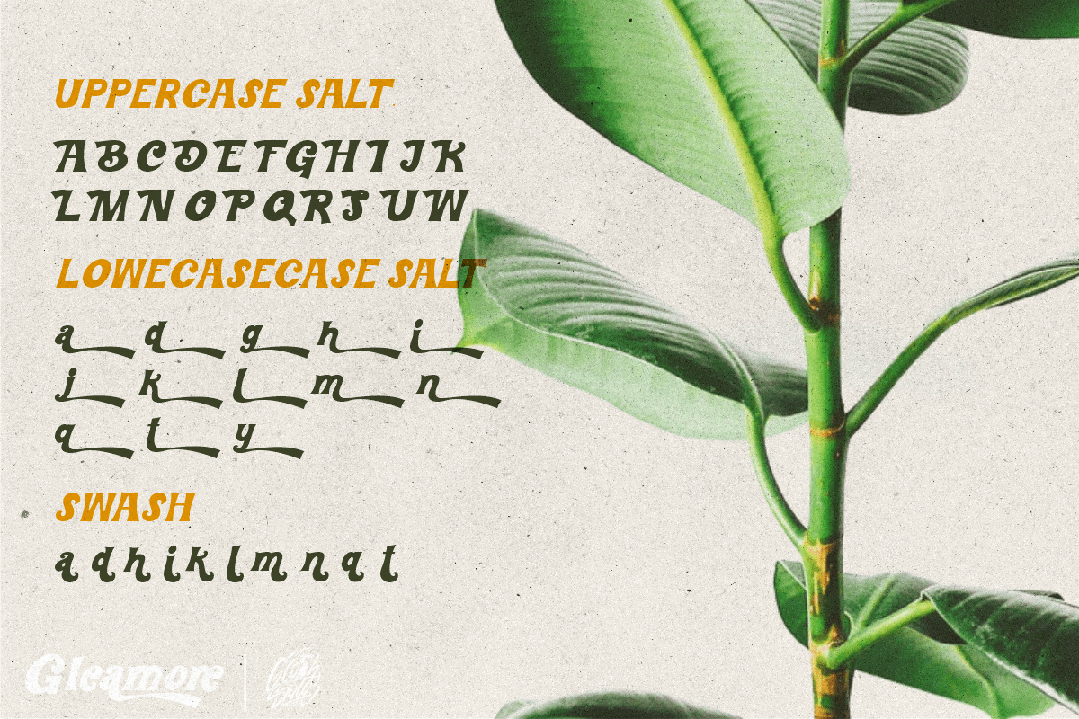 Gleamore Font preview image 4