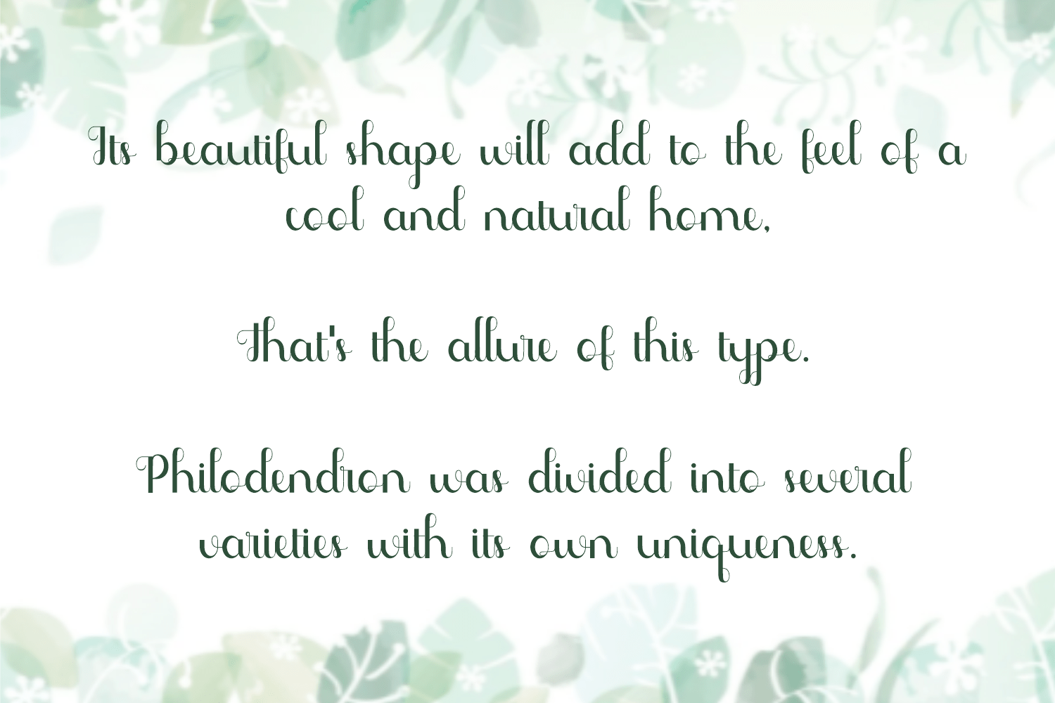 Phyllodendron Font preview image 2