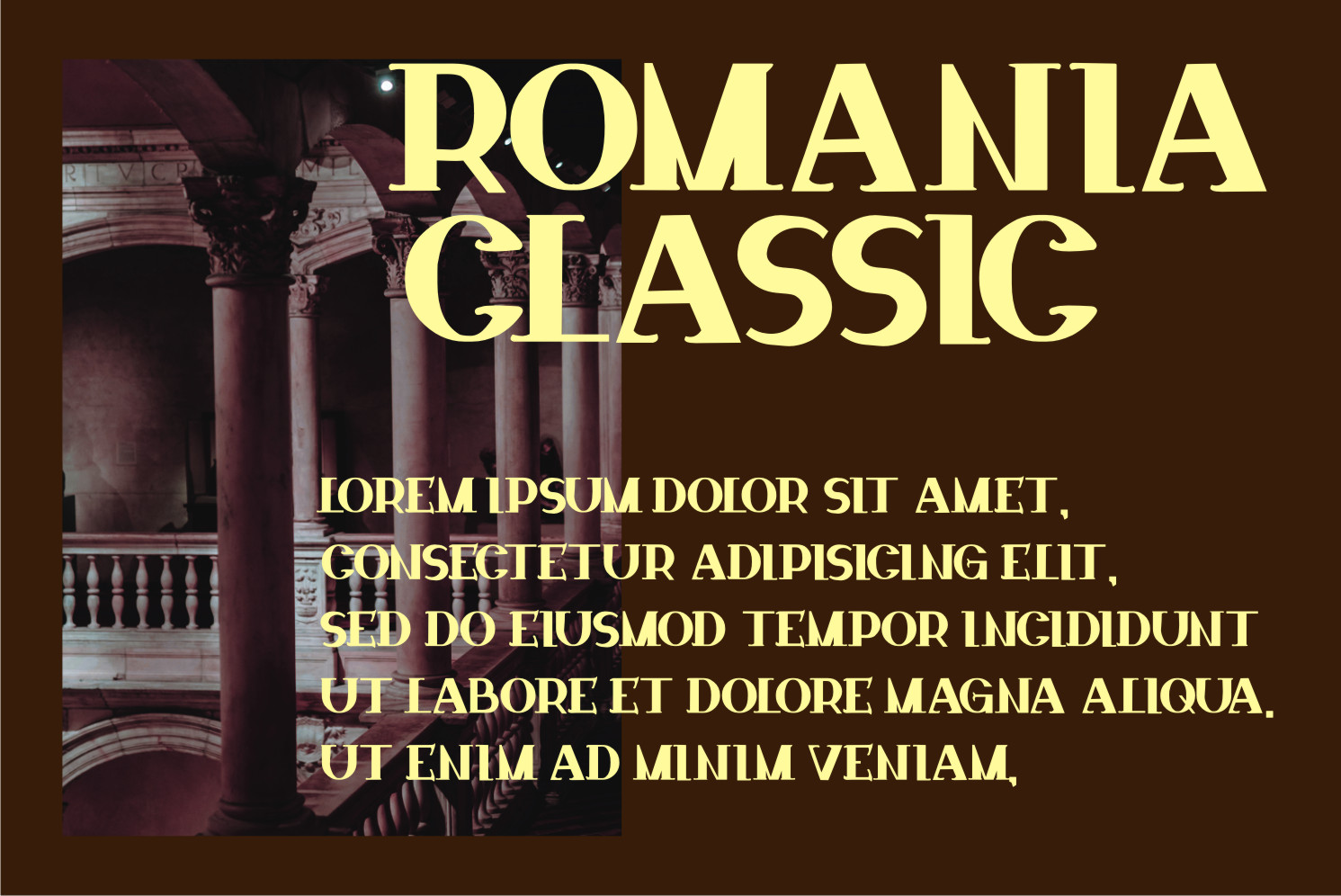 Classic Metadata Font preview image 3