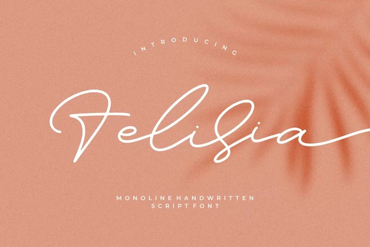 Felisia Script Font