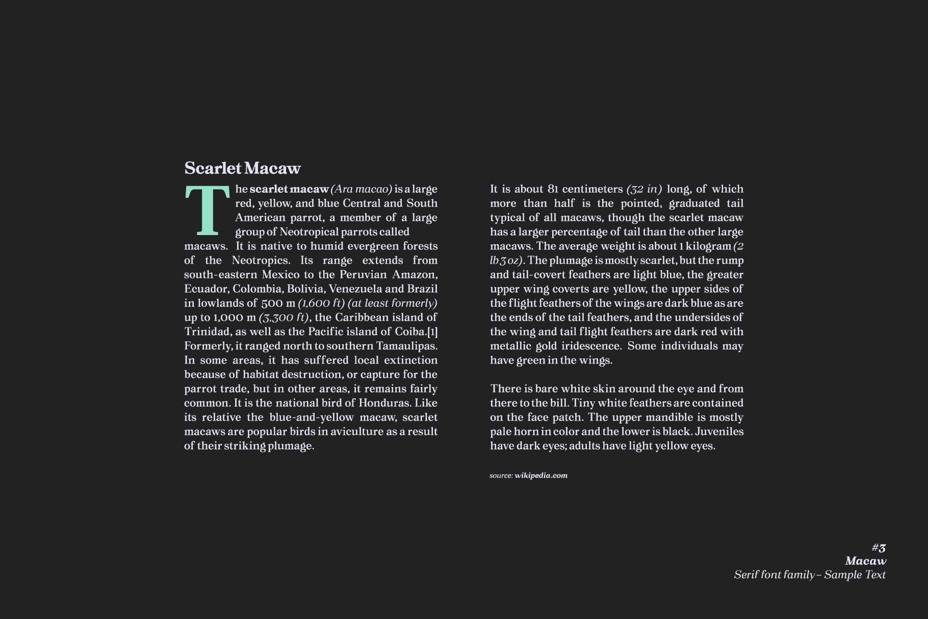Macaw Font preview image 3