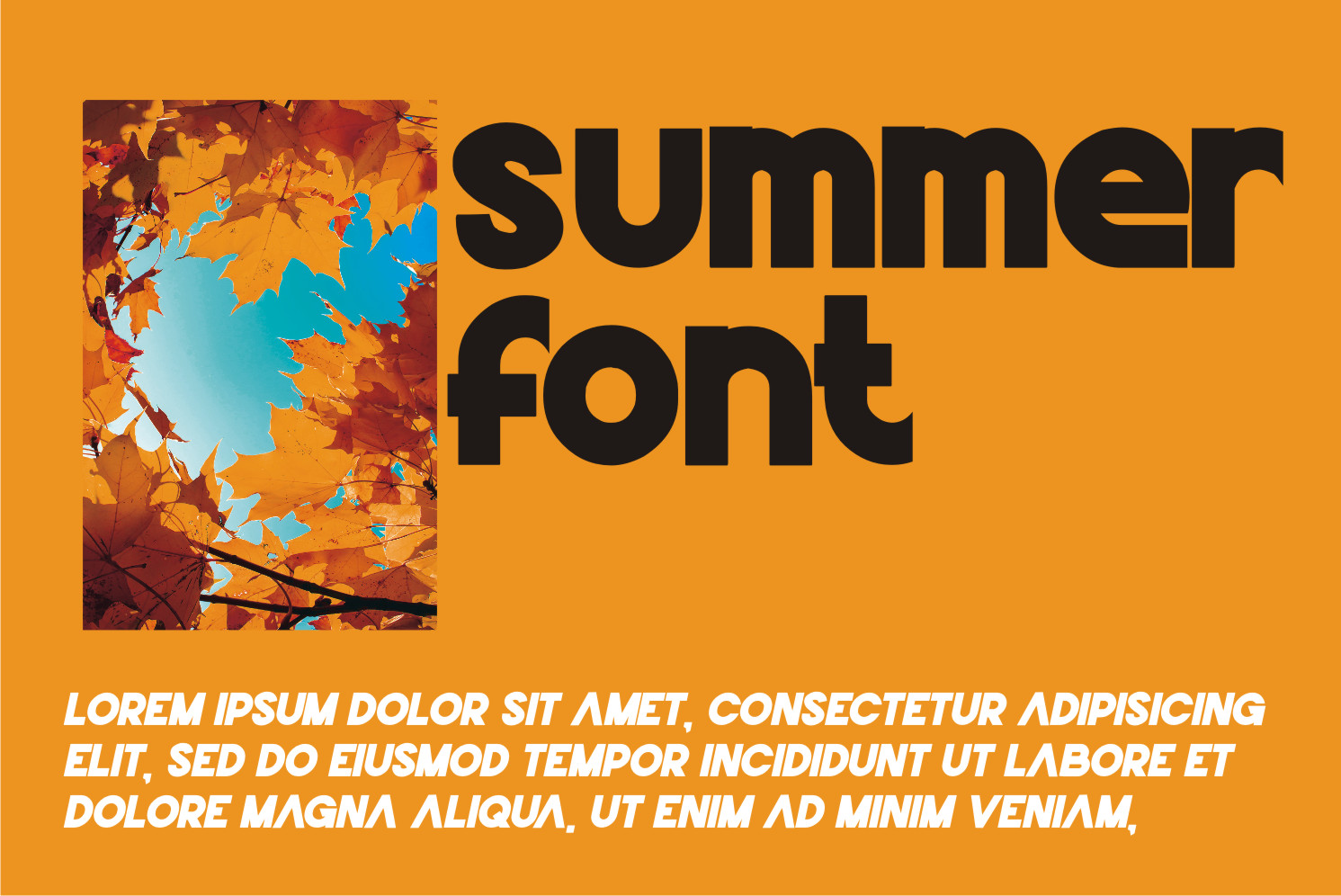 Mentora Font preview image 3