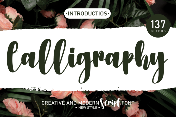 Calligraphy Script Font