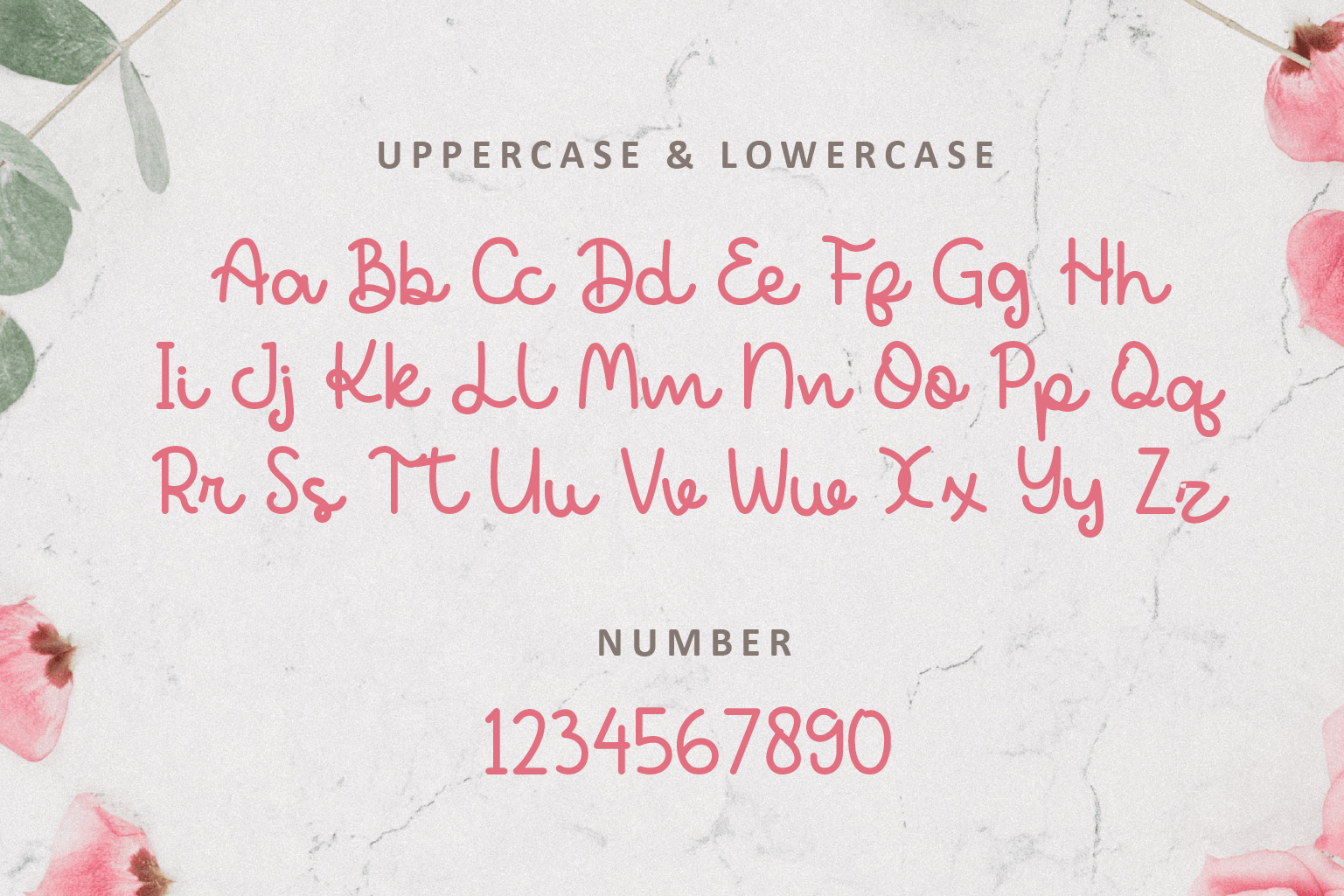 Agatha Kitty Font preview image 2