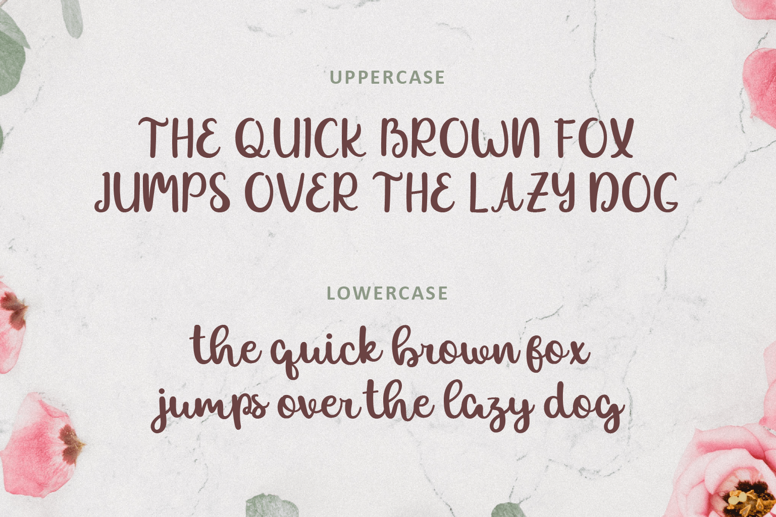 Allexa Font preview image 2