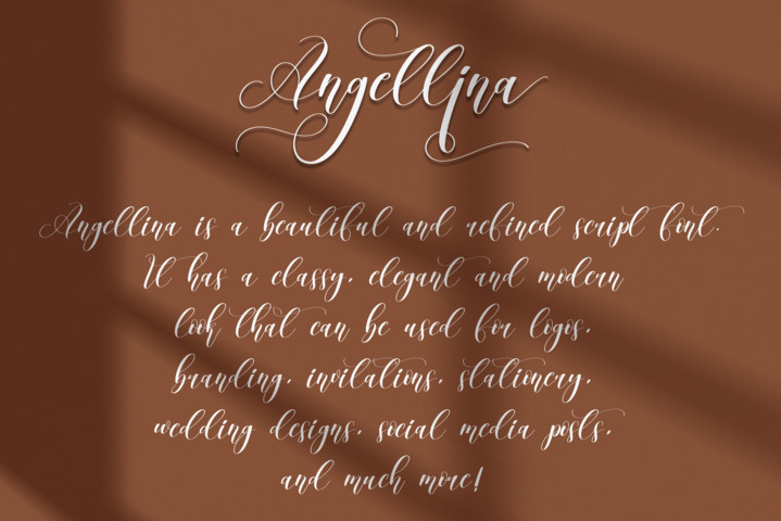 Angellina Font preview image 2