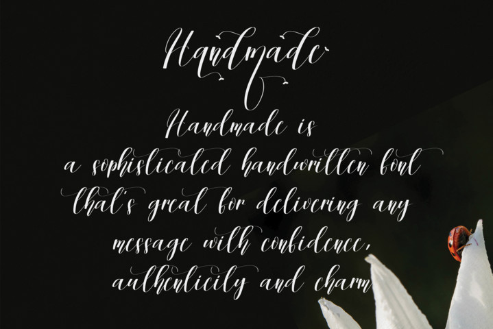 Handmade Script Typeface preview image 2