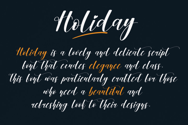 Holiday Typeface preview image 2