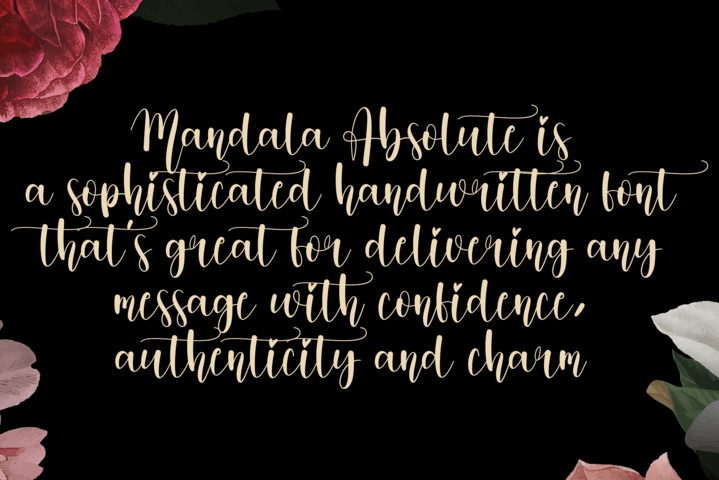 Mandala Absolute Font preview image 2