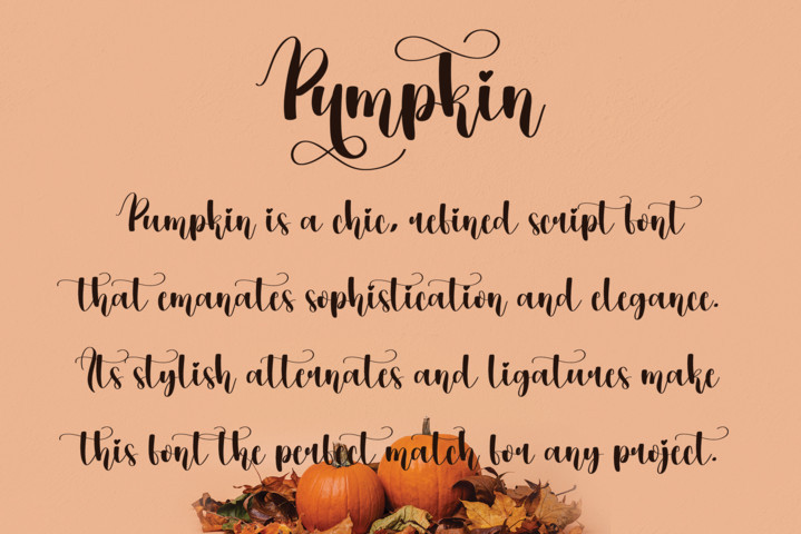 Pumpkin Font preview image 2